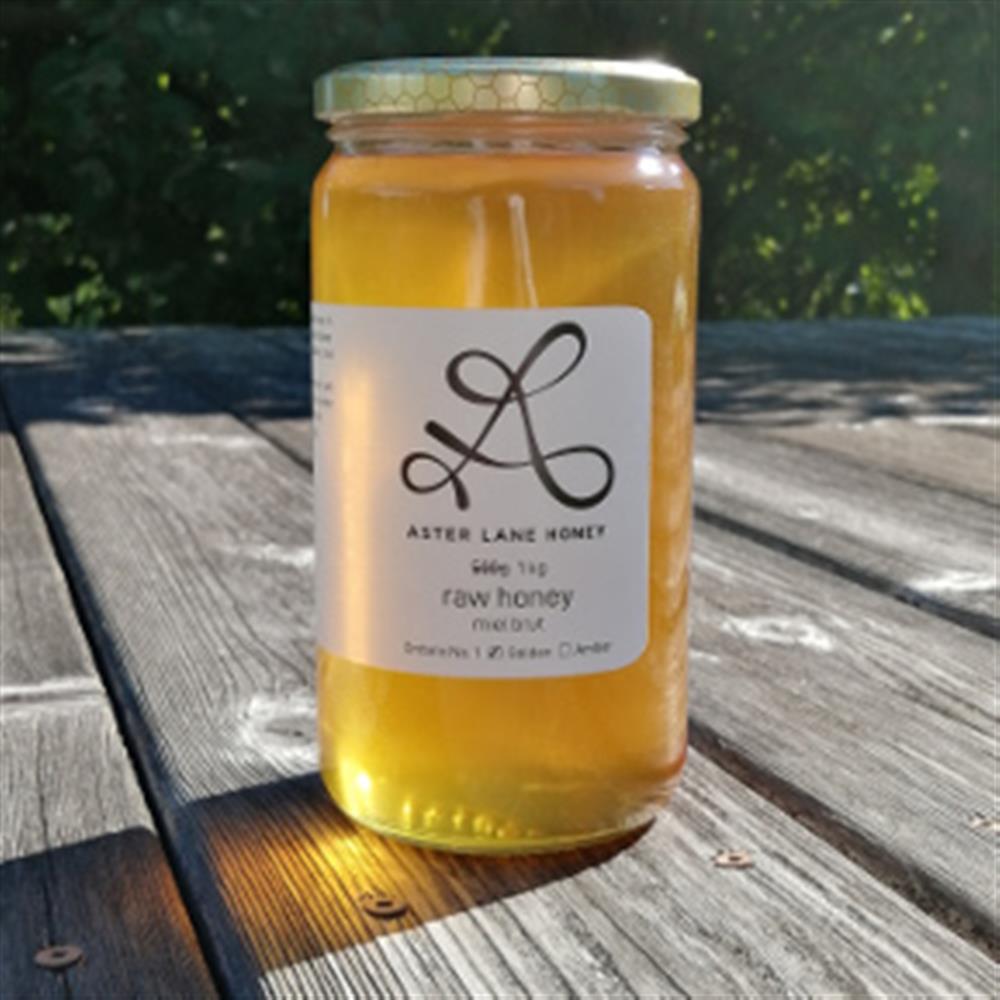 Aster Lane Farm | 241558 Concession Rd 16, Neustadt, ON N0G 2M0, Canada | Phone: (519) 369-0111