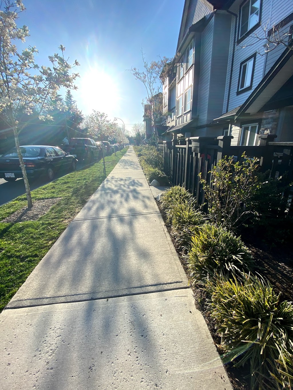 Lotus Living | 20856 76 Ave, Langley Twp, BC V2Y 0S7, Canada | Phone: (604) 831-0800