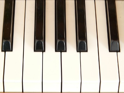 Tim Saunders- Piano Tuning | 7 Stairs St, Dartmouth, NS B3A 3E8, Canada | Phone: (902) 405-5177