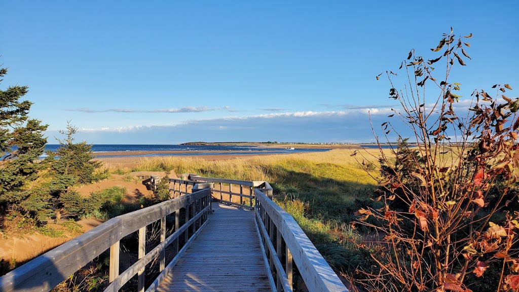 Island Enterprises | 94 Maplewood Dr, Summerside, PE C1N 5E6, Canada | Phone: (226) 213-1967