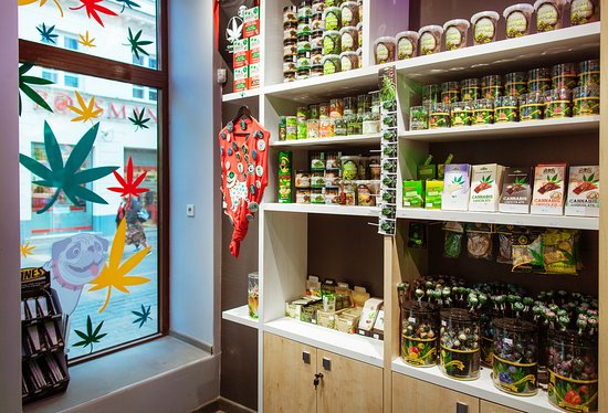 CBD Products Delivery Toronto | Humber College At Finch Ave West North Side, Toronto, ON M9W 6C2, Canada | Phone: (647) 799-2765