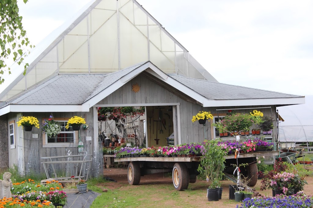 Island Pride Garden Co. Wood Islands | 854 TCH, PE-1, Wood Islands, PE C0A 1R0, Canada | Phone: (902) 962-2044