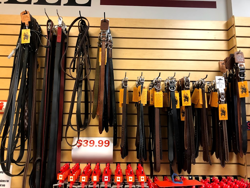 Quick Heel & Sole | 285 Geneva Street Located In: Fairview Mall, St. Catharines, ON L2N 2G1, Canada | Phone: (905) 646-9503