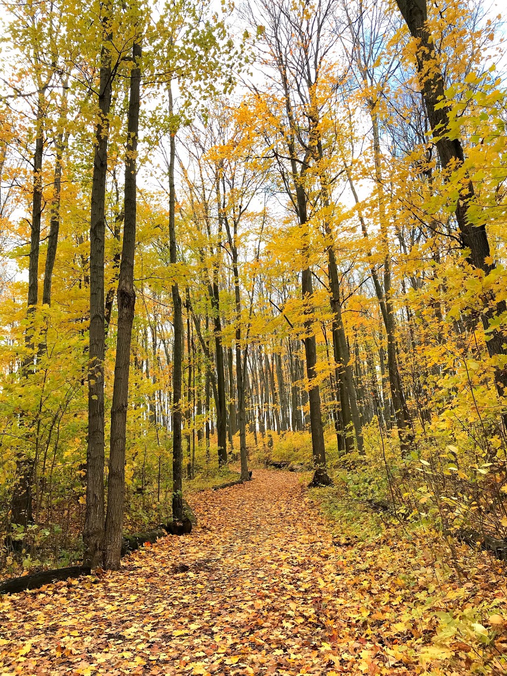 West Ridge Park | 900 W Ridge Blvd, Orillia, ON L3V 7X1, Canada