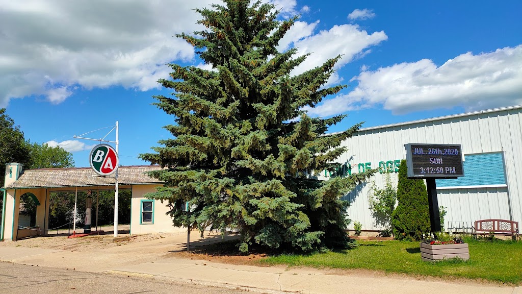 Ogema Regional Park & Campground | 101 Government Road, Ogema, SK S0C 1Y0, Canada | Phone: (306) 861-9980