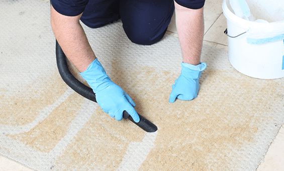 Vallees Janitorial Services | 31 Lucky Pl, Sylvan Lake, AB T4S 0A9, Canada | Phone: (403) 887-2391