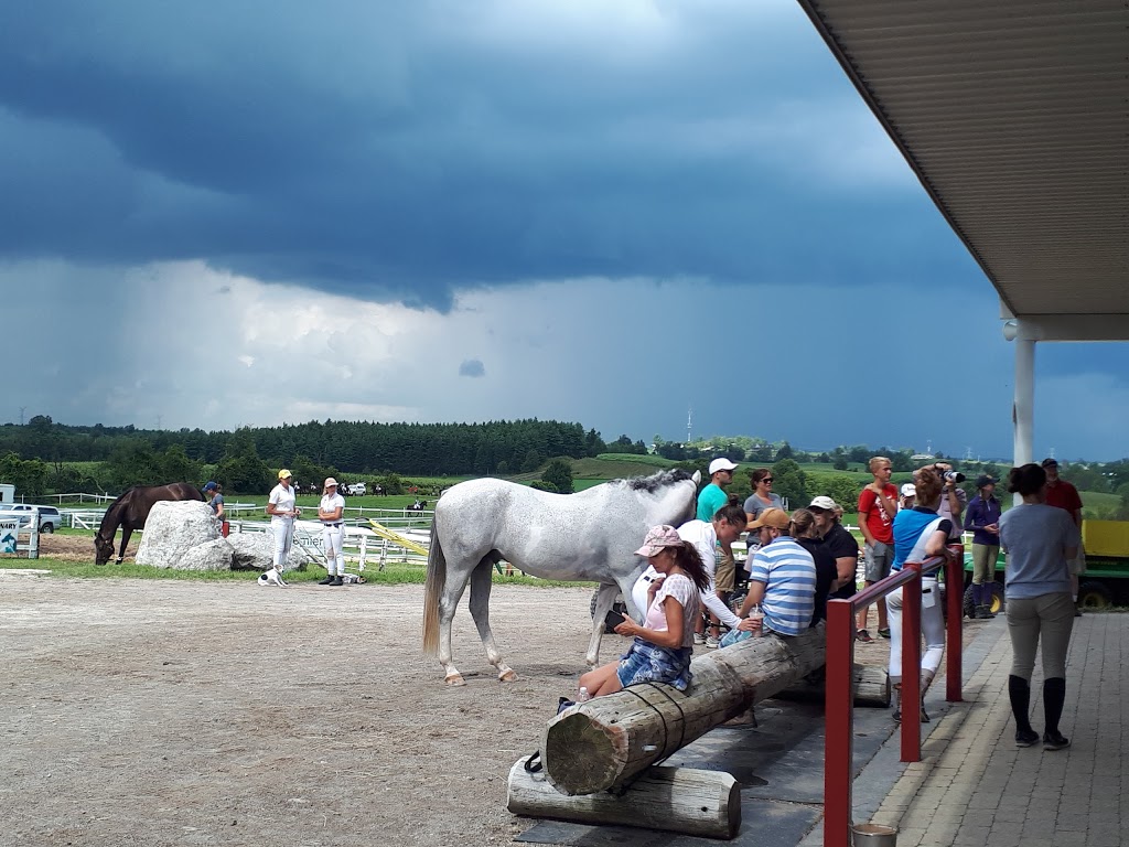 Cherrylane Equestrian Centre Inc | 4145 ON-6, Puslinch, ON N0B 2J0, Canada | Phone: (519) 767-6067