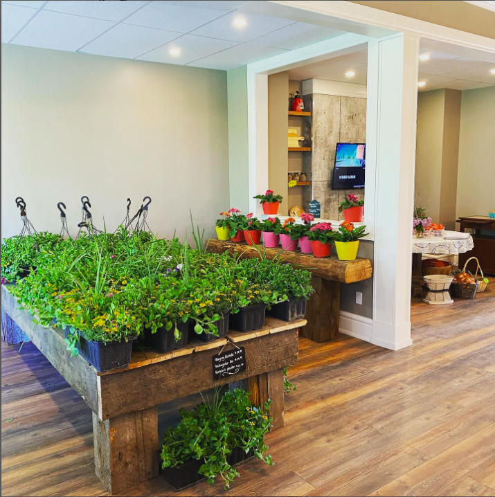 Loretto Garden Store | 2548 Simcoe County Rd 50, Loretto, ON L0G 1L0, Canada | Phone: (905) 936-4497