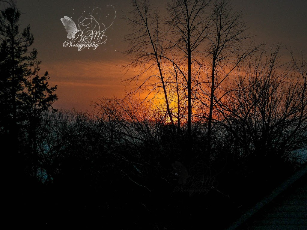 BAM Photography | 13 Main St, South River, ON P0A 1X0, Canada | Phone: (905) 730-1370