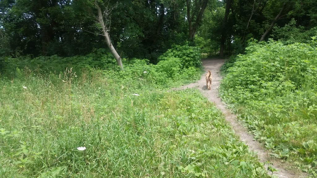 Stoney Creek Off-Leash Dog Park | 1343 Adelaide St N, London, ON N5X 1K1, Canada | Phone: (519) 661-2500 ext. 4570
