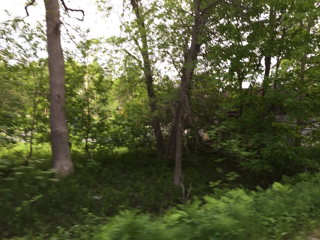 Tanners Park | 13 Acorn Ln, Victoria Harbour, ON L0K 2A0, Canada | Phone: (705) 534-7248