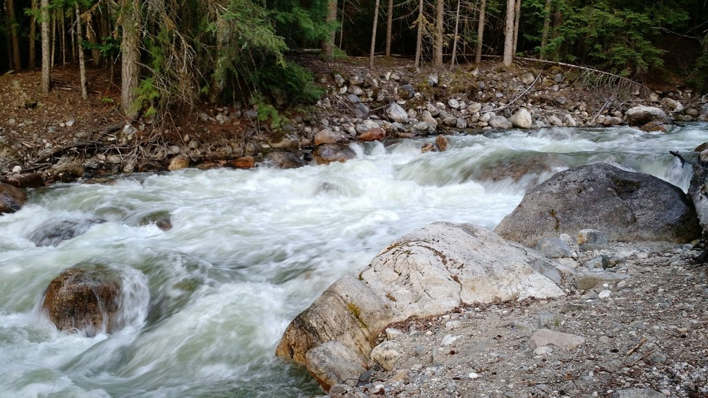 Yard Creek Regional Park | 3055 Yard Creek Loop Rd, Malakwa, BC V0E 2J0, Canada | Phone: (250) 836-3814