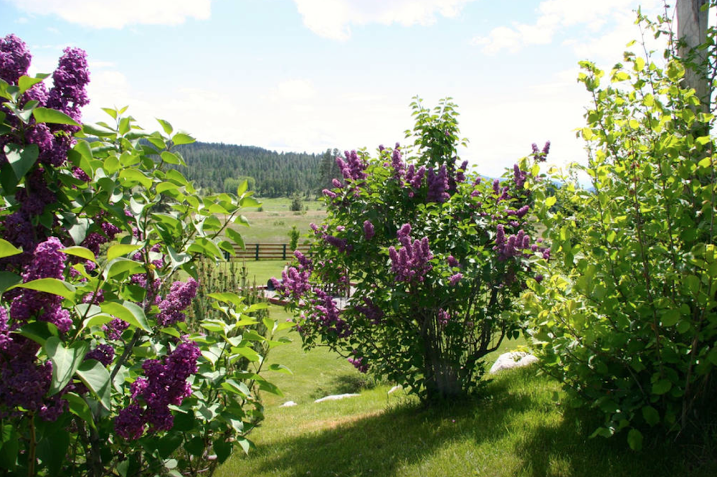 Arosa Ranch RV Park/Campground/B&B | 1 Arosa Ranch Rd, Bridesville, BC V0H 1B0, Canada | Phone: (778) 233-7789