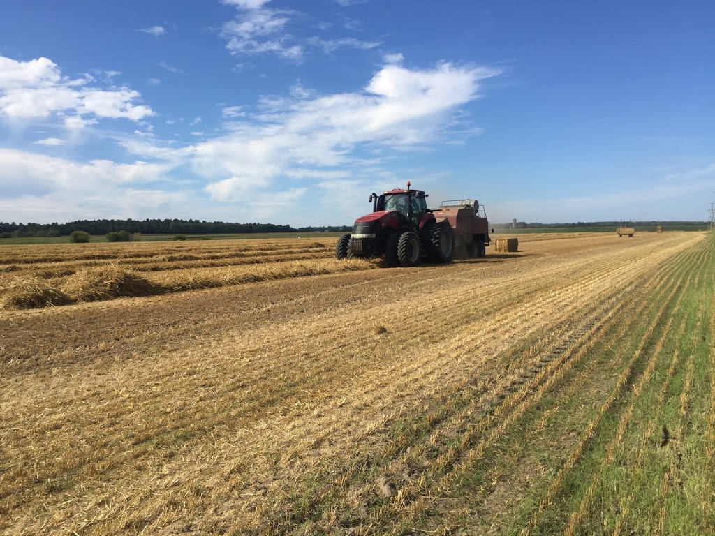 Ferme Milton Farm | 833 Rang de la Rivière N, Sainte-Cécile-de-Milton, QC J0E 2C0, Canada | Phone: (450) 502-6708