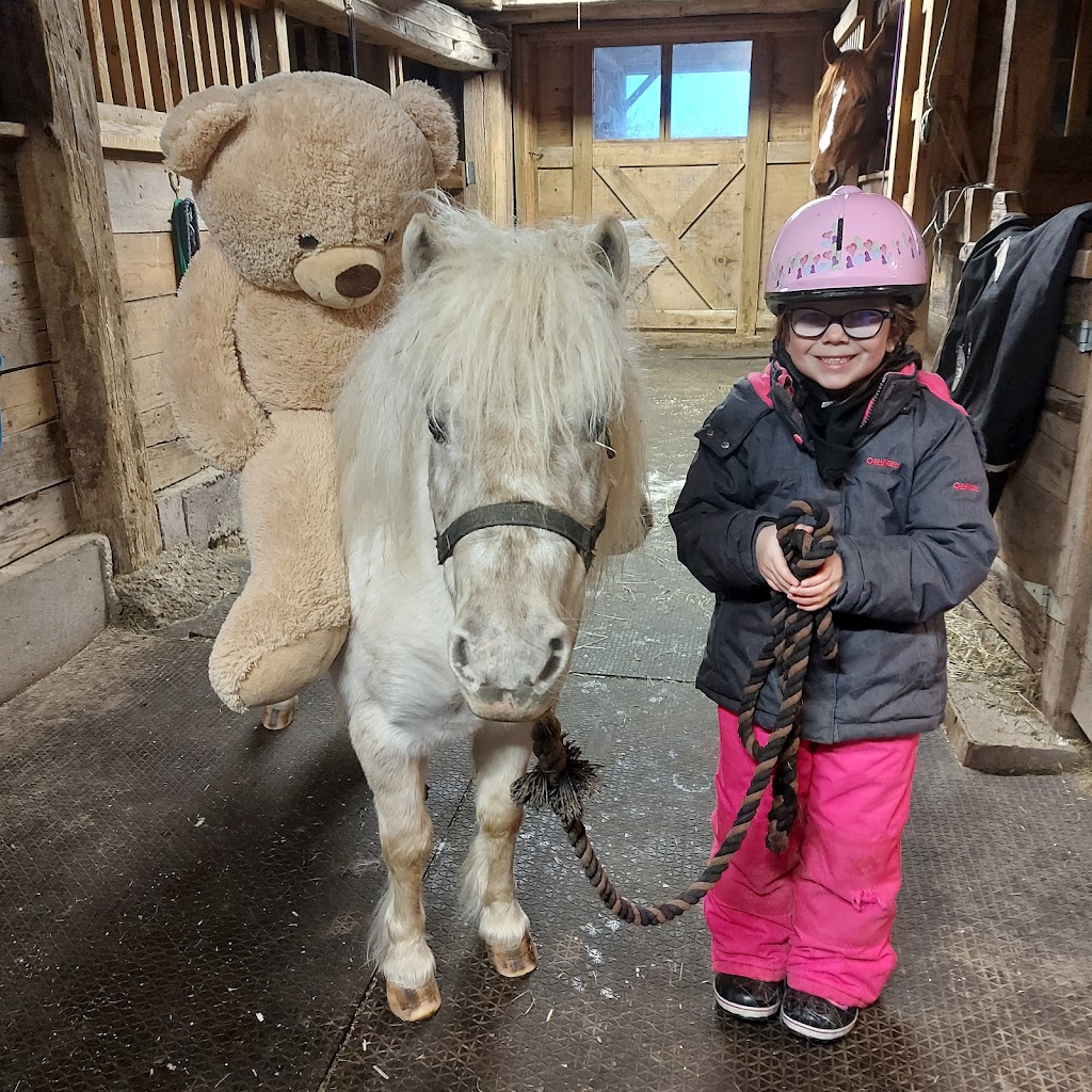 Grace Acres Equine Connection | 2050 Vent Rd, Napanee, ON K7R 3K9, Canada | Phone: (613) 214-2963