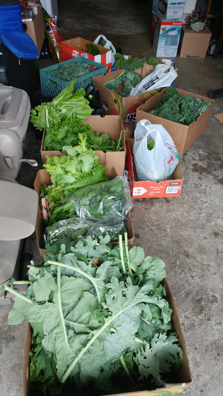 Ryans Rainbow Emergency Food Outreach | 1600 Cliff Ave, Burnaby, BC V5A 2K2, Canada | Phone: (604) 761-4357