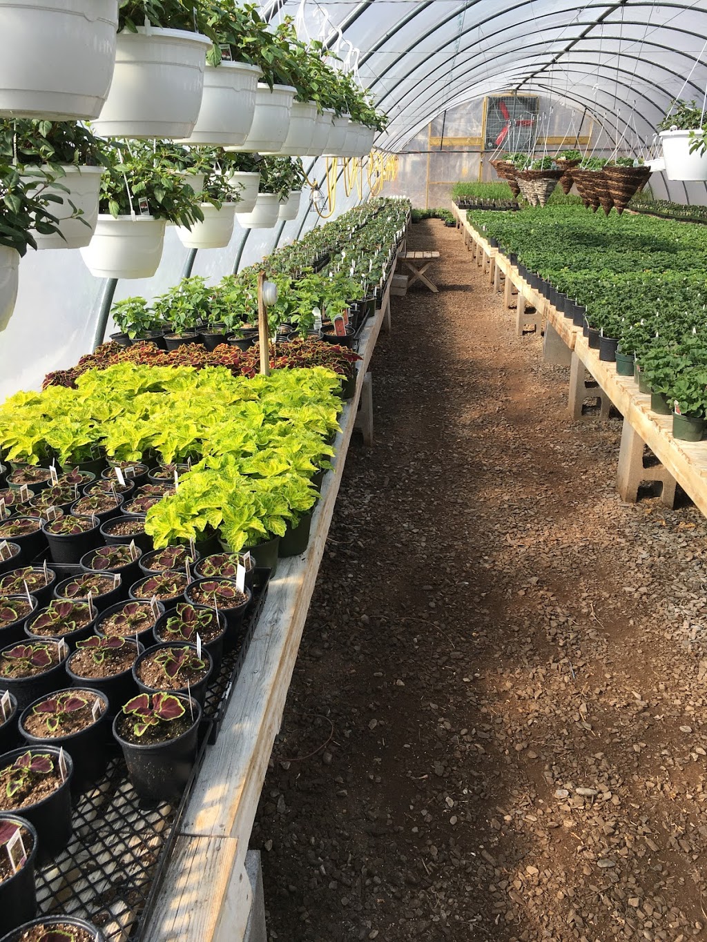 Brooklyn Farms | 5091 Brooklyn St, Berwick, NS B0P 1E0, Canada | Phone: (902) 538-1715