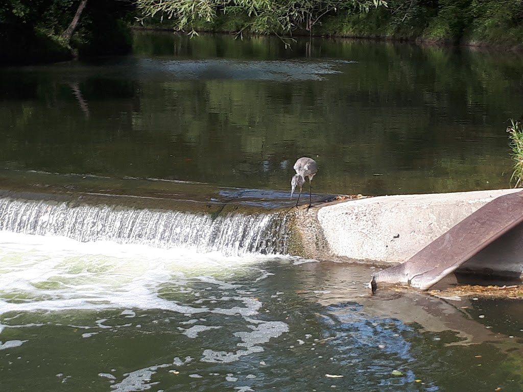 Don River Fish Ladder | Old East York, Toronto, ON M4K, Canada