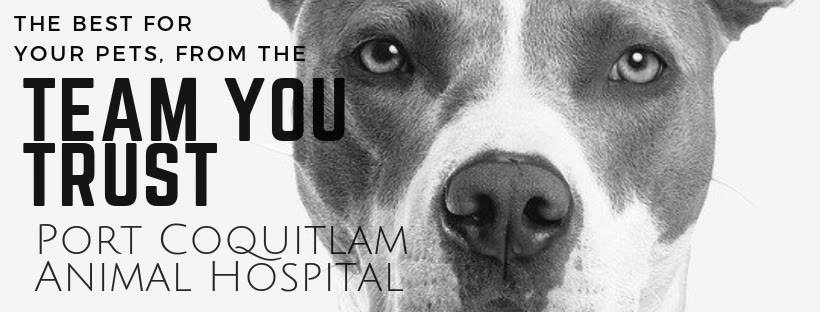 Port Coquitlam Animal Hospital | veterinary care | 2655 Lougheed Hwy, Port Coquitlam, BC V3B 1B5, Canada | 6044646666 OR +1 604-464-6666