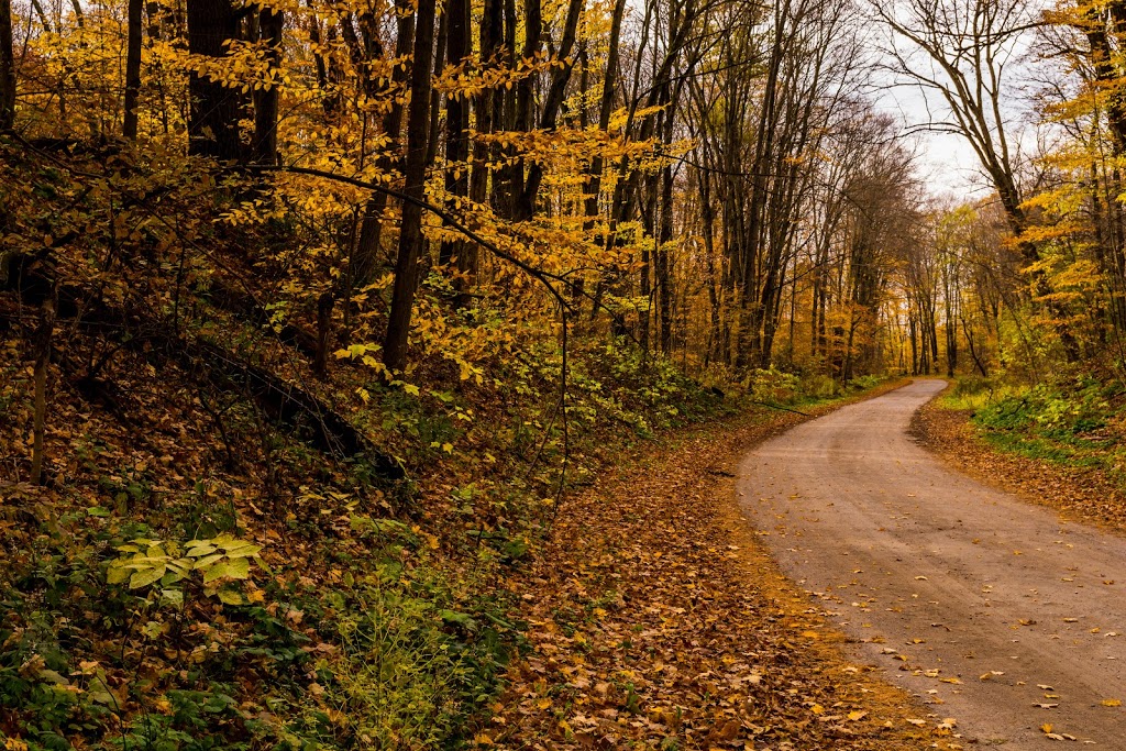 Purple Woods Conservation Area | 38 Coates Rd E, Oshawa, ON L1H 7K4, Canada | Phone: (905) 579-0411