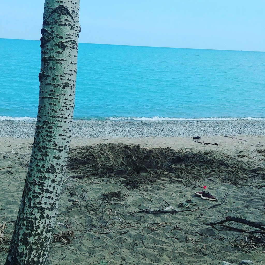 Rose Beach - Public Park | 12021 Rose Beach Line, Morpeth, ON N0P 1X0, Canada