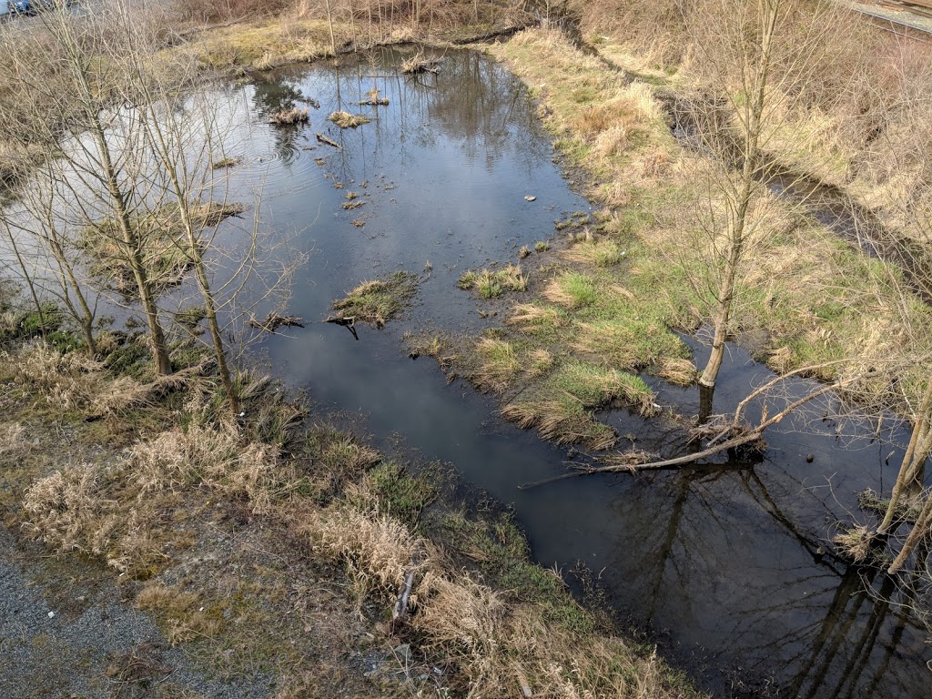 Little Denton Pond | 3063 Landmark Way, Surrey, BC V3S 7R2, Canada