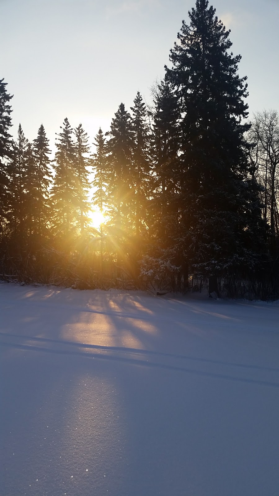 Gull Lake Centre | 22-28116, Township Rd 411, Lacombe County, AB T4L 2N3, Canada | Phone: (403) 782-2495