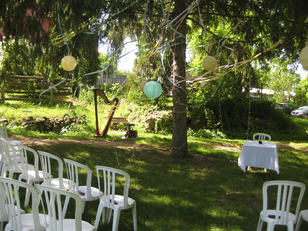 Chantal Dube the Harpist | 125 Dorothy St, Welland, ON L3B 3V8, Canada | Phone: (416) 909-9944