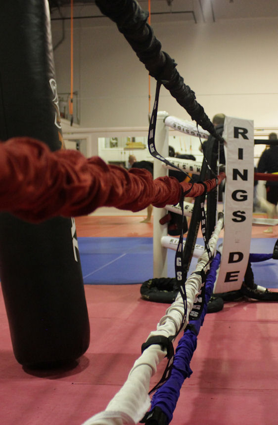 St. Albert Kempo Kickboxing Club | 31c Rowland Crescent, St. Albert, AB T8N 4B2, Canada | Phone: (780) 919-0731