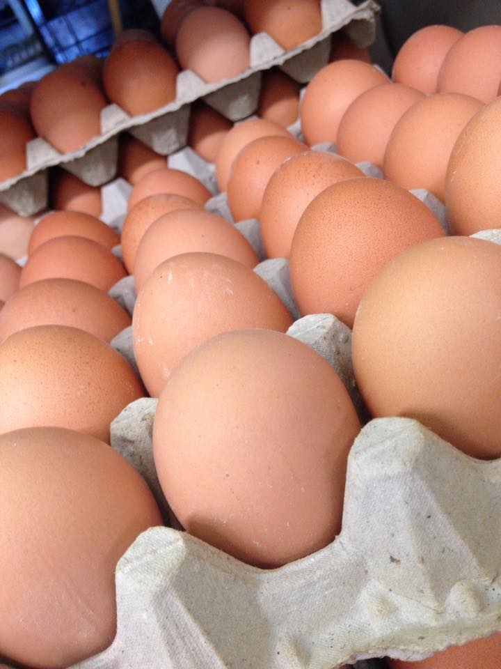 AppleSeed Country Markets | 4130 Nova Scotia Trunk 1, Windsor, NS B0N 2T0, Canada | Phone: (902) 798-8817