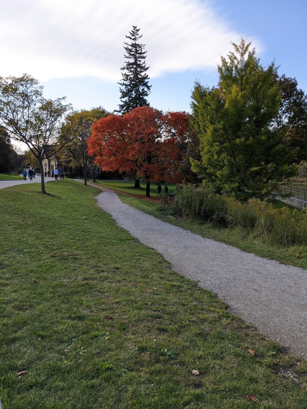 Springbank Gardens Community Centre | 205 Wonderland Rd S, London, ON N6K 3T3, Canada | Phone: (519) 661-5575