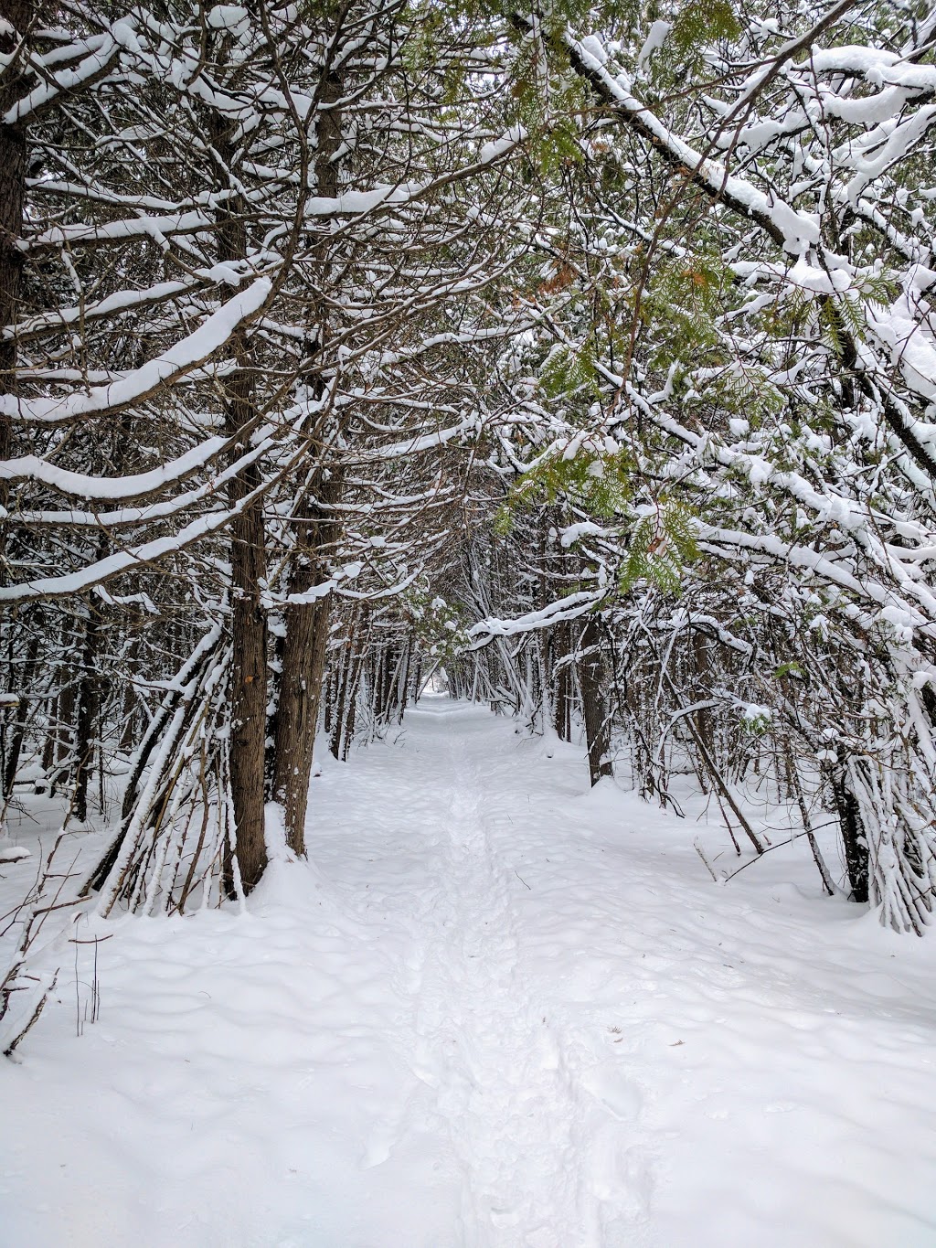 Robmar Park | 14 Robmar St, Whitby, ON L1M 1T7, Canada