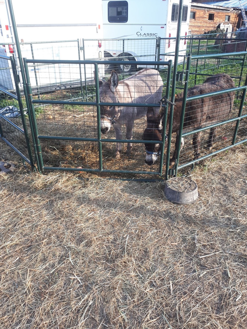 McMillan Farms | 3690 Berard Rd #1, Kelowna, BC V1W 4A9, Canada | Phone: (250) 448-2336