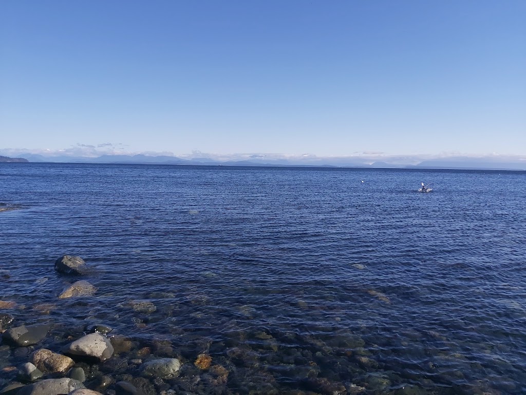Shelter Bay Resort | 3860 S Island Hwy, Campbell River, BC V9H 1M5, Canada | Phone: (250) 923-5338