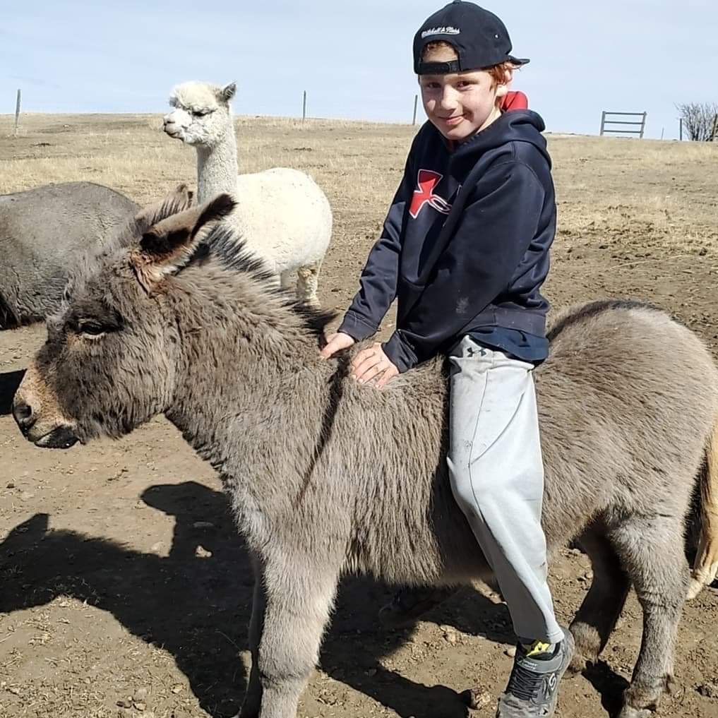 Happy Soles Fun Farm | 194063, Range Rd 245, AB T0L 1P0, Canada | Phone: (403) 800-2283