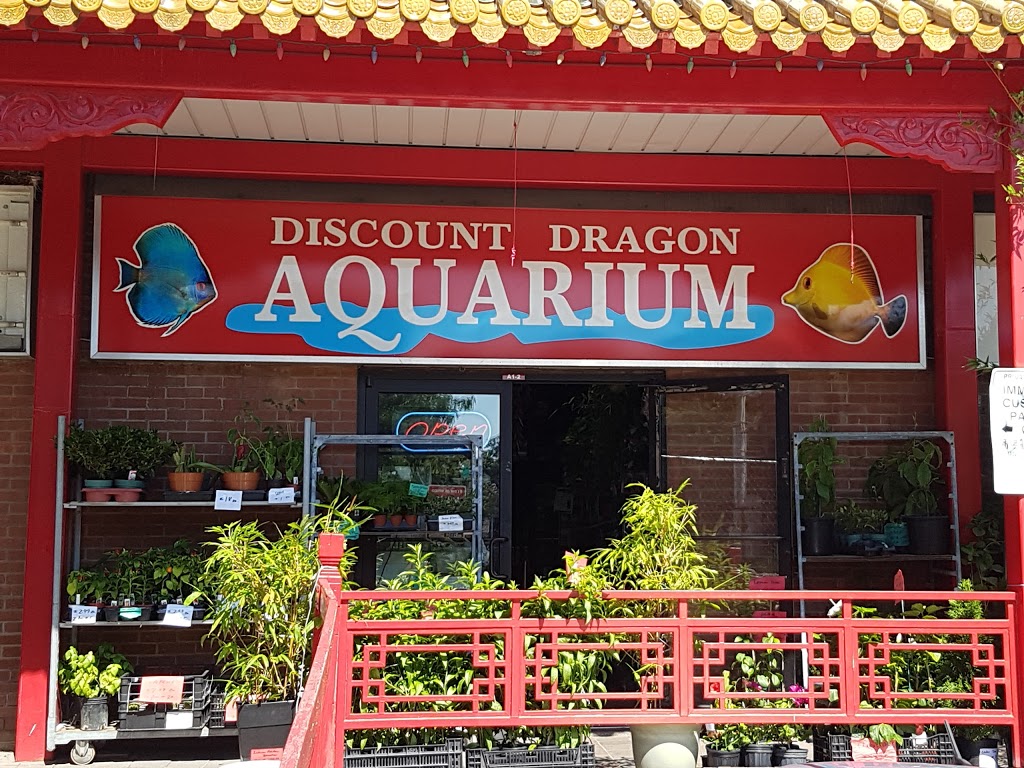 Discount Dragon Aquarium | 888 Dundas St E, Mississauga, ON L4Y 4G6, Canada | Phone: (905) 306-7127