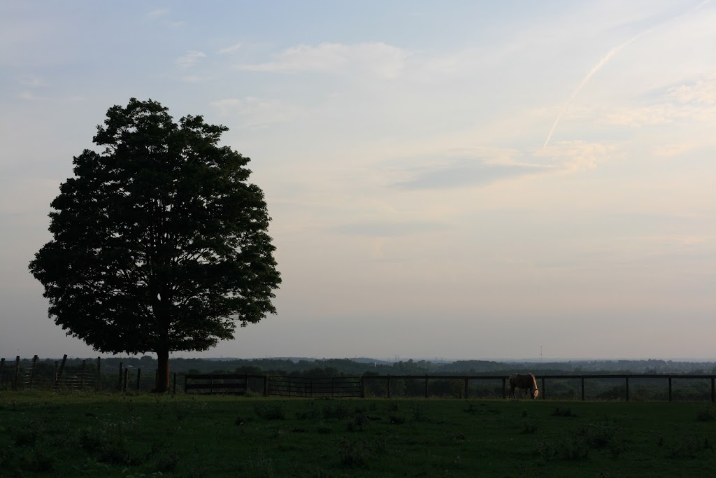 Westview Stables | 313662 ON-6, West Grey, ON N0G, Canada | Phone: (226) 668-0538