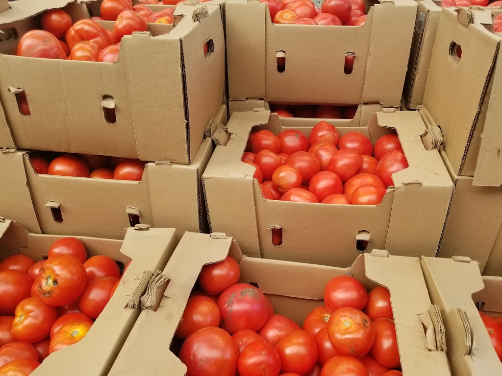 Barrie Hill Farms | 2935 Barrie Hill Rd, Springwater, ON L9X 1S8, Canada | Phone: (705) 728-0571