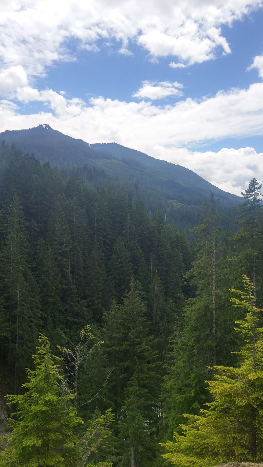 Excelsior Pass Trailhead | Mt Baker Hwy, Glacier, WA 98442, USA | Phone: (360) 856-5700