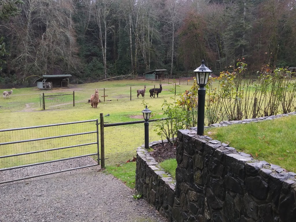 Millstream Miniature Llamas | 355 Atkins Ave, Victoria, BC V9B 3A1, Canada | Phone: (250) 478-9969