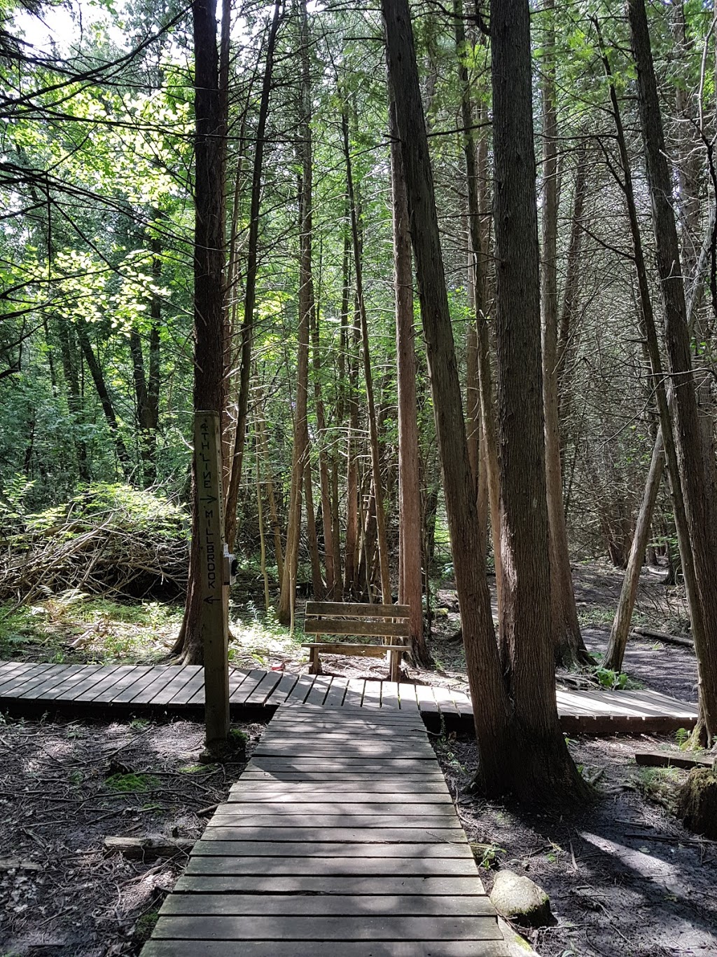 Millbrook Valley Trails | 1 Dufferin St, Millbrook, ON L0A 1G0, Canada | Phone: (705) 932-9329