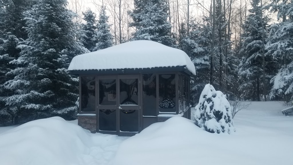 Elk Lake Eco Centre | 1000 Ontario St, Elk Lake, ON P0J 1G0, Canada | Phone: (705) 678-2248