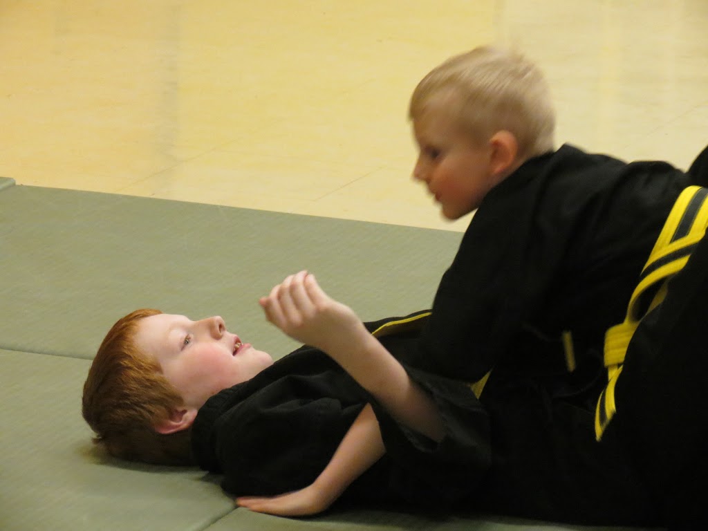 Mount Pearl School Of Martial Arts | ODonel High School, Mount Pearl, NL A1N 4M9, Canada | Phone: (709) 682-0335