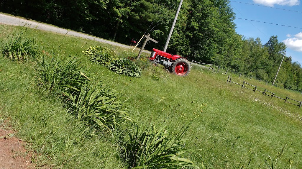 Ferme Dada Do | 60 Chemin Boisvert, Danville, QC J0A 1A0, Canada | Phone: (514) 972-1878