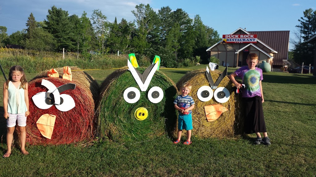 Duck Rock Resort | 2093 Hwy 124, Dunchurch, ON P0A 1G0, Canada | Phone: (705) 389-3322
