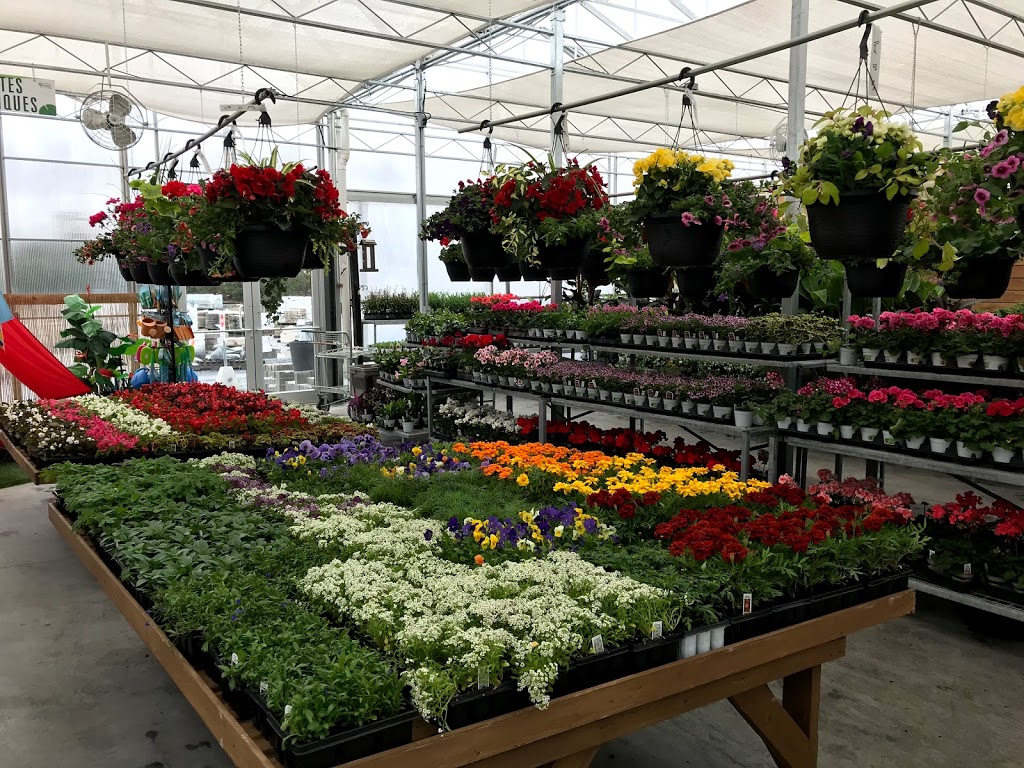 Centre jardin st-césaire | 630 QC-112, Saint-Césaire, QC J0L 1T0, Canada | Phone: (450) 469-3333