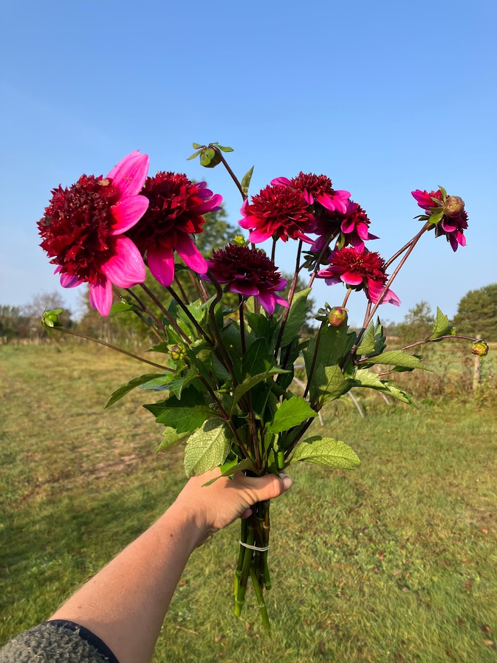 La Petite Ferme Florale | 650 Chem. de Lavaltrie, Lavaltrie, QC J5T 3K8, Canada | Phone: (514) 839-2635