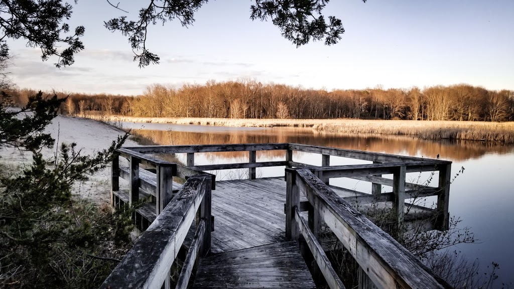 Black Pond Wildlife Management Area | Henderson, NY 13650, USA | Phone: (518) 402-8920