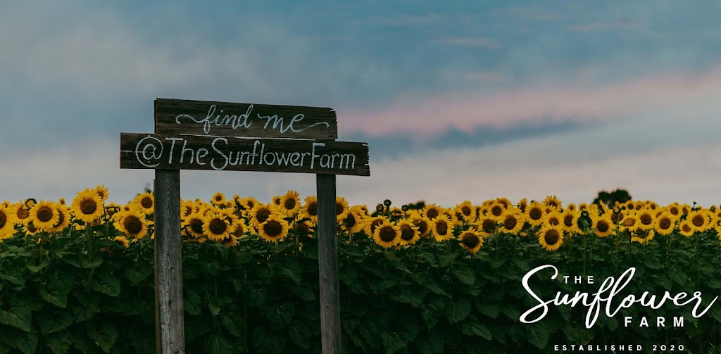 The Sunflower Farm | 24430 Sideroad 17, Side Rd 17, Beaverton, ON L0K 1A0, Canada | Phone: (416) 316-9543