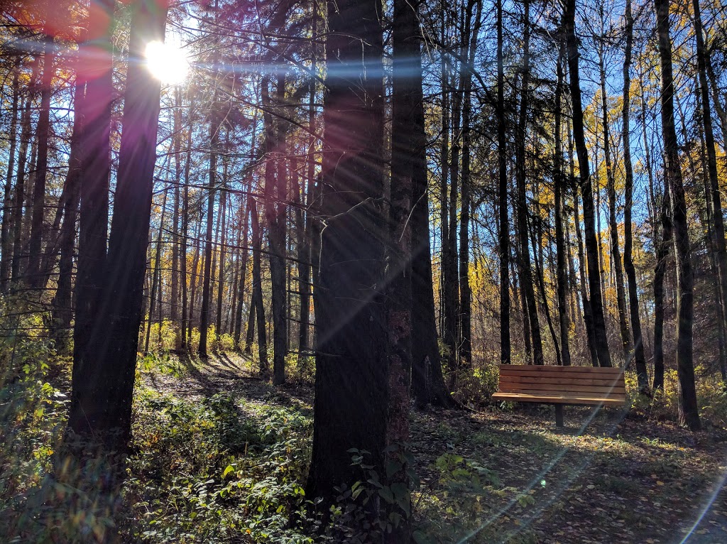 Beaver Hills Biodiversity Trail | Strathcona County, AB T8G 2C8, Canada | Phone: (780) 464-8117